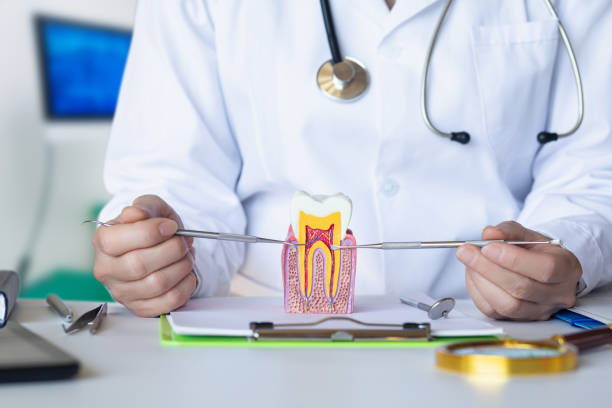 Best Emergency Root Canal Therapy in Bon Air, VA